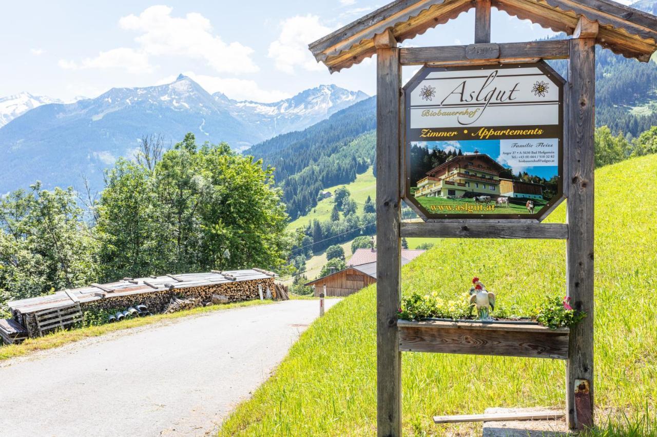 Biobauernhof Aslgut Villa Bad Hofgastein Kültér fotó