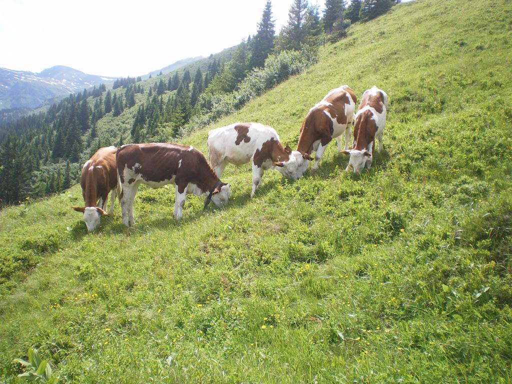 Biobauernhof Aslgut Villa Bad Hofgastein Kültér fotó