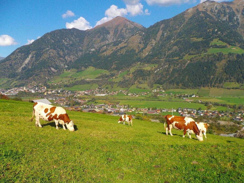 Biobauernhof Aslgut Villa Bad Hofgastein Kültér fotó